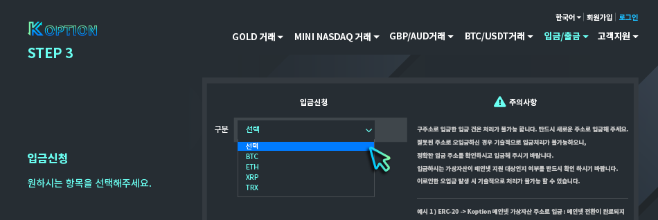 입금 STEP3